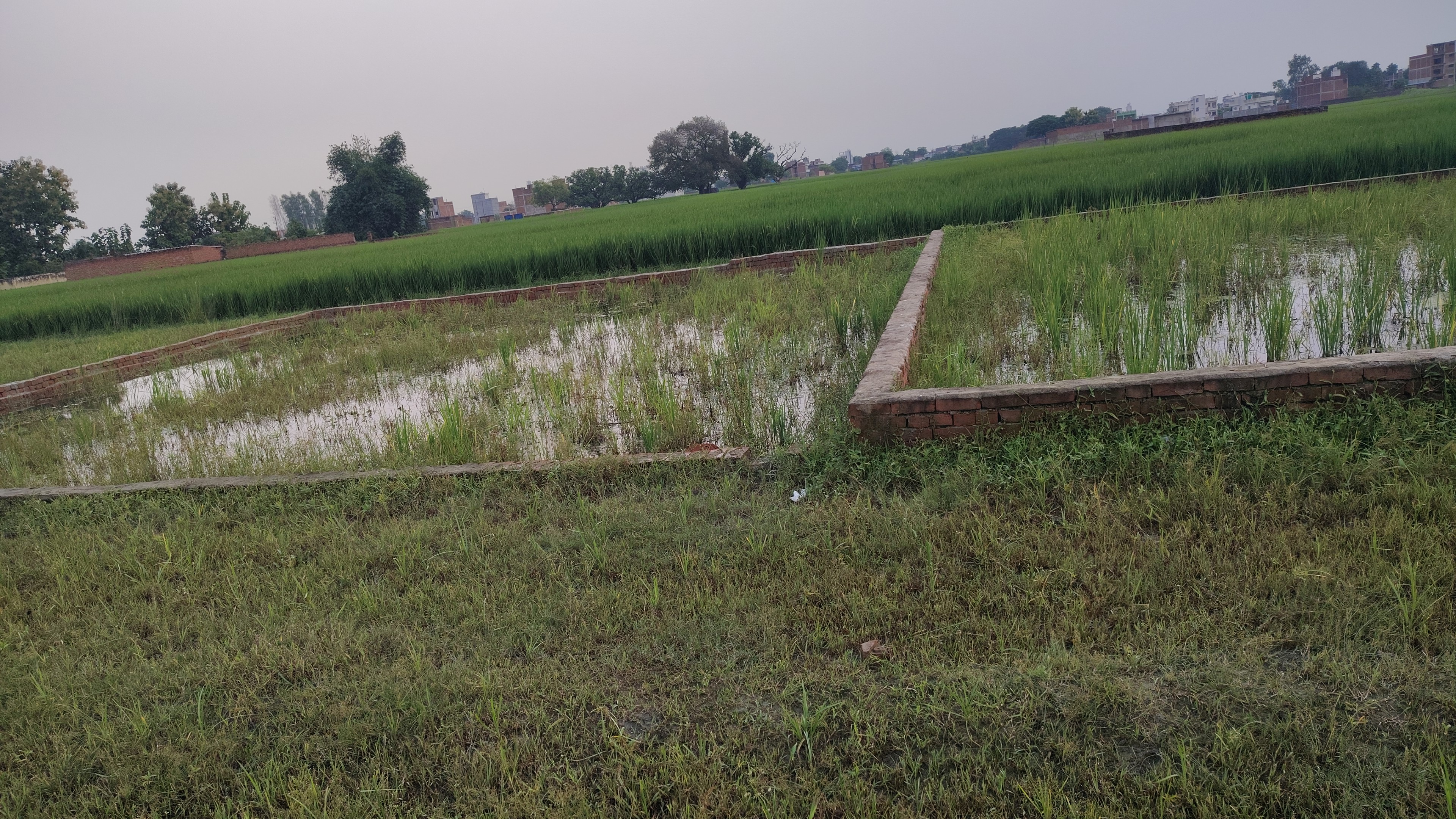 Residential for Sale in Khanao, Varanasi